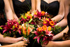 Weddings 2008 : 